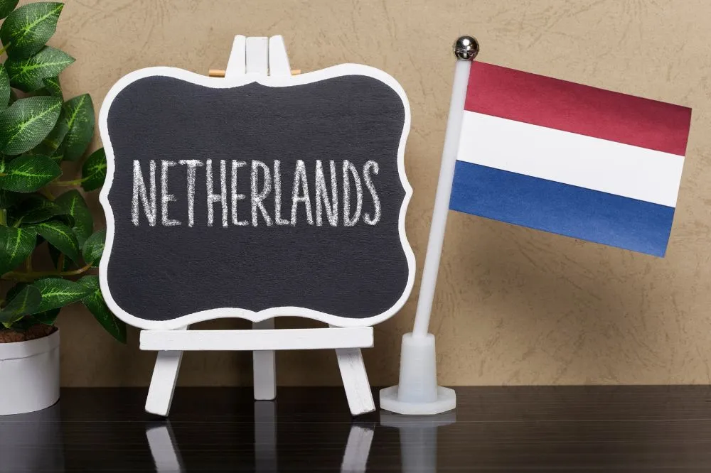 خدمات طراحی سایت در هلند برای کسب‌وکارهای مدرن